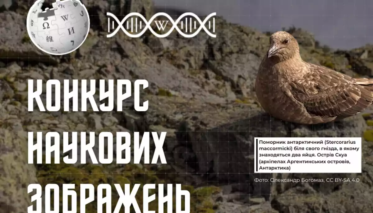 Оголосили переможців Конкурсу наукових зображень 2025