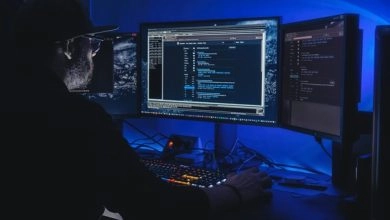 В Парижі через злом сайту податкової стався витік даних майже 700 тисяч клієнтів